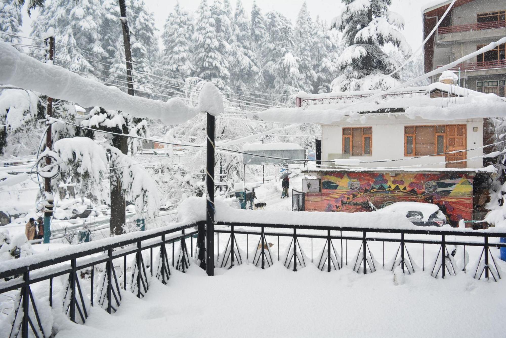 The Neelgiris Hotel Manāli Eksteriør billede